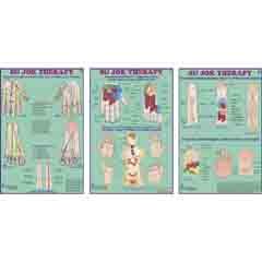 व्हाइट एसीपी सुजोक थेरेपी चार्ट-3 का सेट
