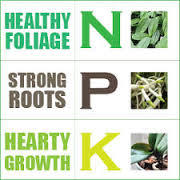 Npk 13-00-45 - Application: Gardening
