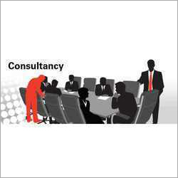 Subsidy Consultant Service