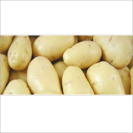 ताजा आलू