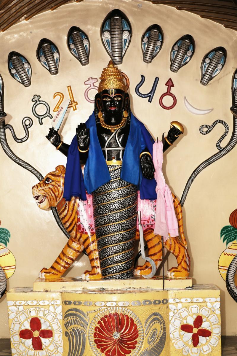 Shri Rahu Dev Murti