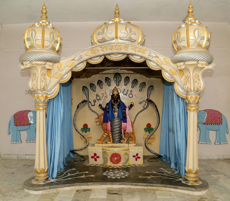 Shri Rahu Dev Murti