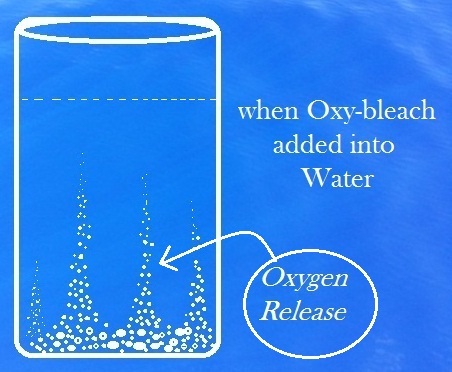 Oxygen Bleach
