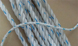 PP Ropes