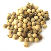 सफेद मिर्च