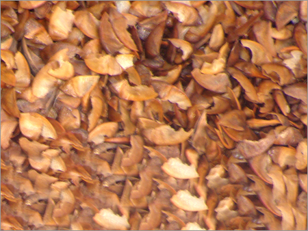क्रेप मर्टल बीज (Lagerstroemia Indica)