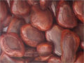 Tamarind Seeds (Tamarindus Indica)