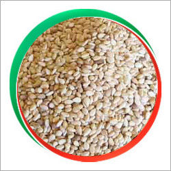 Natural Sesame Seeds