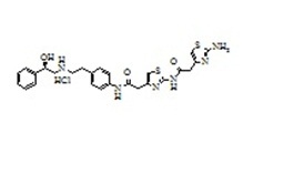 मिराबेग्रोन अशुद्धता- 2 आवेदन: फार्मास्युटिकल उद्योग