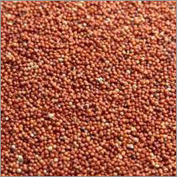 लाल बाजरा