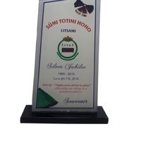Various Colors Trophies