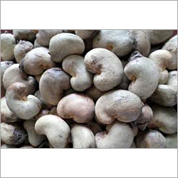 Fresh Raw Cashew