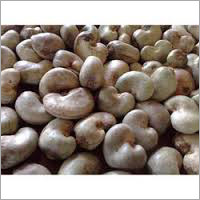 Raw Cashew