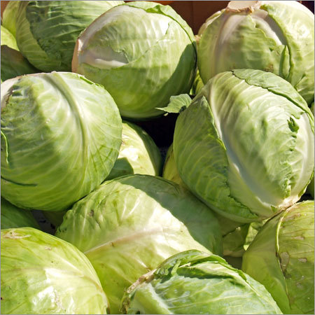 गोभी