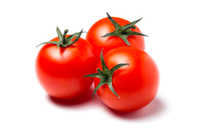 Fresh Tomato