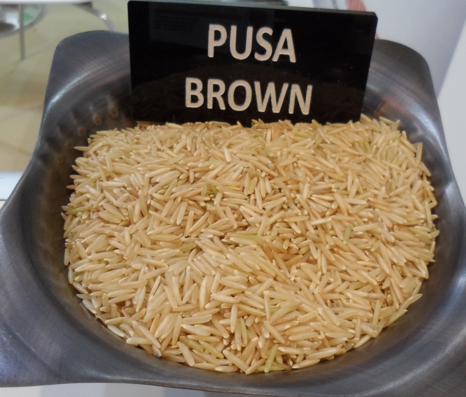 Solid Pusa Brown Rice