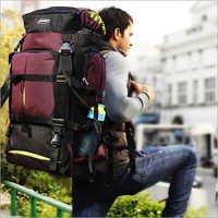 बैकपैक बैग