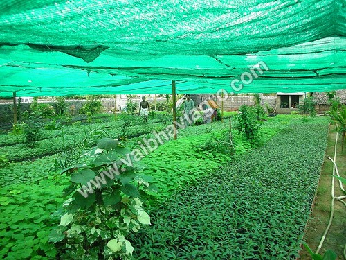 Green Agro Shade Net