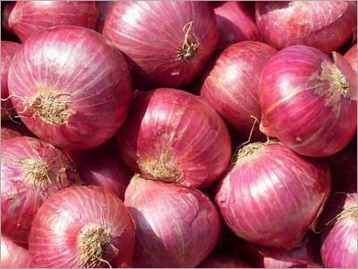 भारतीय प्याज