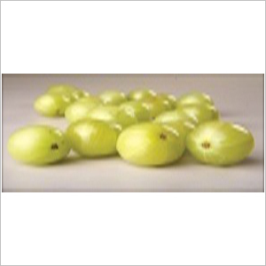 Amla - 100% Pure Food Grade Powder & Liquid Extract | Rich in Vitamin C and Antioxidants, Ideal for Skincare and Haircare Formulations