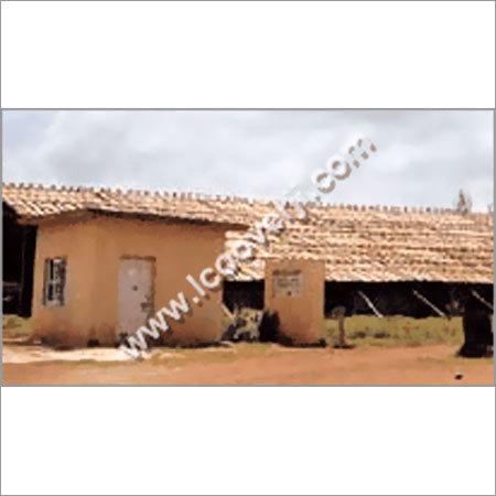 मानसून शेड्स