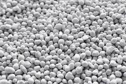 White Cement Clinker