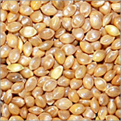 Barnyard Millet