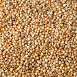 Sorghum Millet