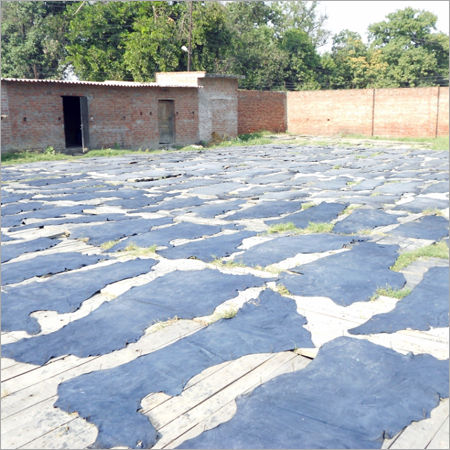 सूखी चमड़े की प्रक्रिया