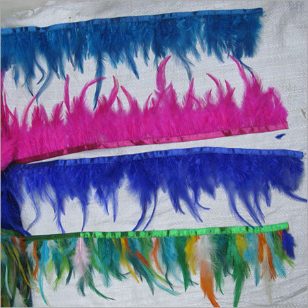 फेदर लेस