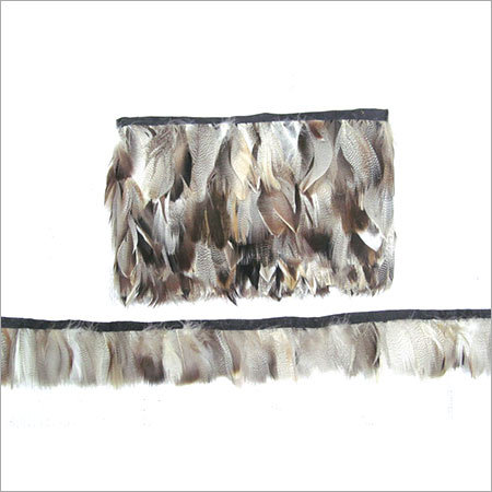 फेदर लेस