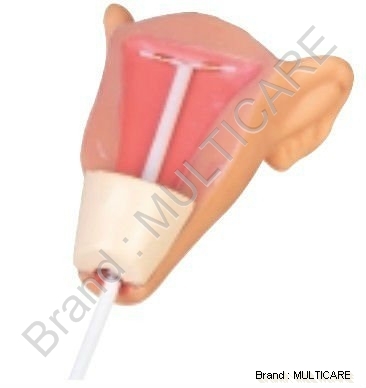 Iud प्रशिक्षण सिम्युलेटर