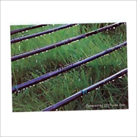 Inline Drip Irrigation Plant