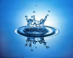 Water Testing Services - Accurate Results Guaranteed | Comprehensive Water Quality Analysis, Professional Reporting, Prompt Results