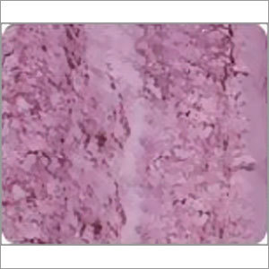 लाल प्याज़ पाउडर