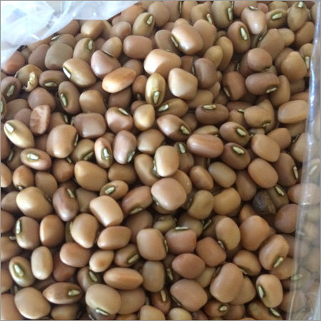 लोभा (अलसंदी)