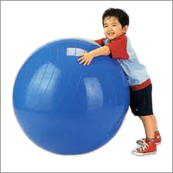 Physio Ball