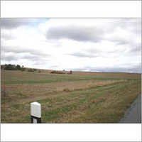 Residential Land For Sale In Najafgarh