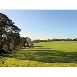 Residential Land for Sale in Dwarka and West Delhi