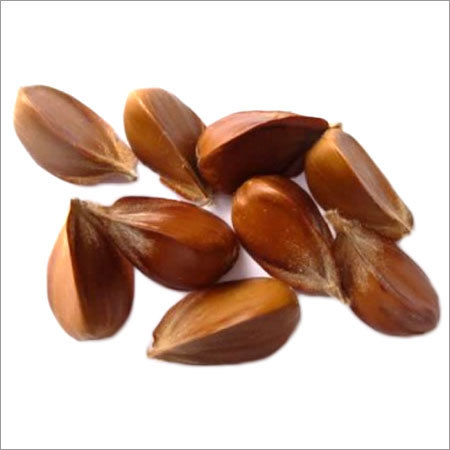 बीच के पेड़ के नट्स