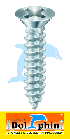 CSK Phillips Screw