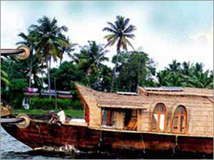Tours & Travels