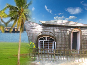 Tours & Travels