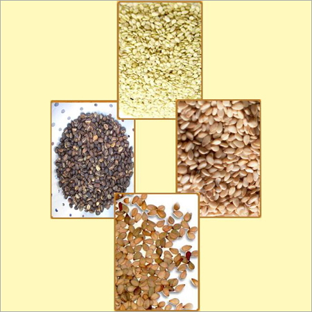 Sesame Seeds