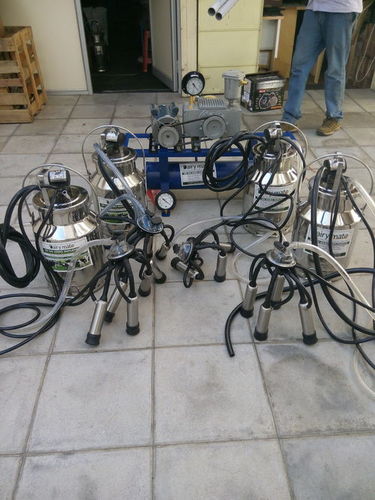 Stainless Steel Multi Bucket Fixed Type Motor Cum Engine Operated