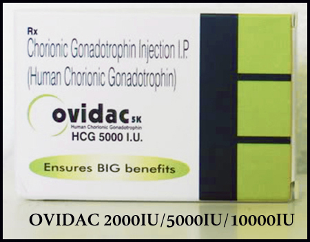 Ovidac HCG - Liquid Formula for Infertility Treatment | Highly Effective, Zero Side Effects, Precise Composition, Optimal Purity
