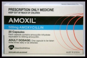 Amoxicillin Tablet - 250mg/500mg Anti-Bacterial Formulation | High Purity, Tested for Quality, Multiple Packaging Options