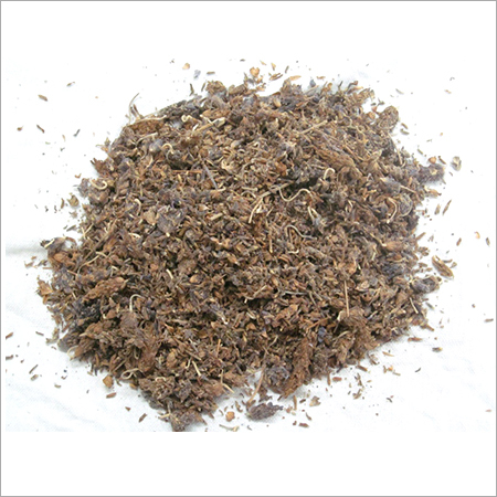 उस्तुखुद्दूस हर्ब
