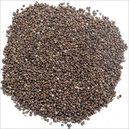 मुस्क दाना