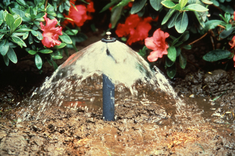 Bubbler Irrigation Services